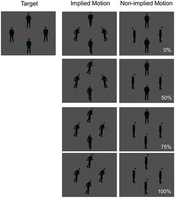 An Event-Related Potential Study of the Neural Response to Inferred Motion in Visual Images of Varying Coherence